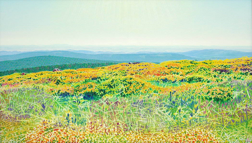 Fred Hahn: BrockenfruehlingsheidenweiteOil auf Baumwolle, 2008, 80 x 140 cm