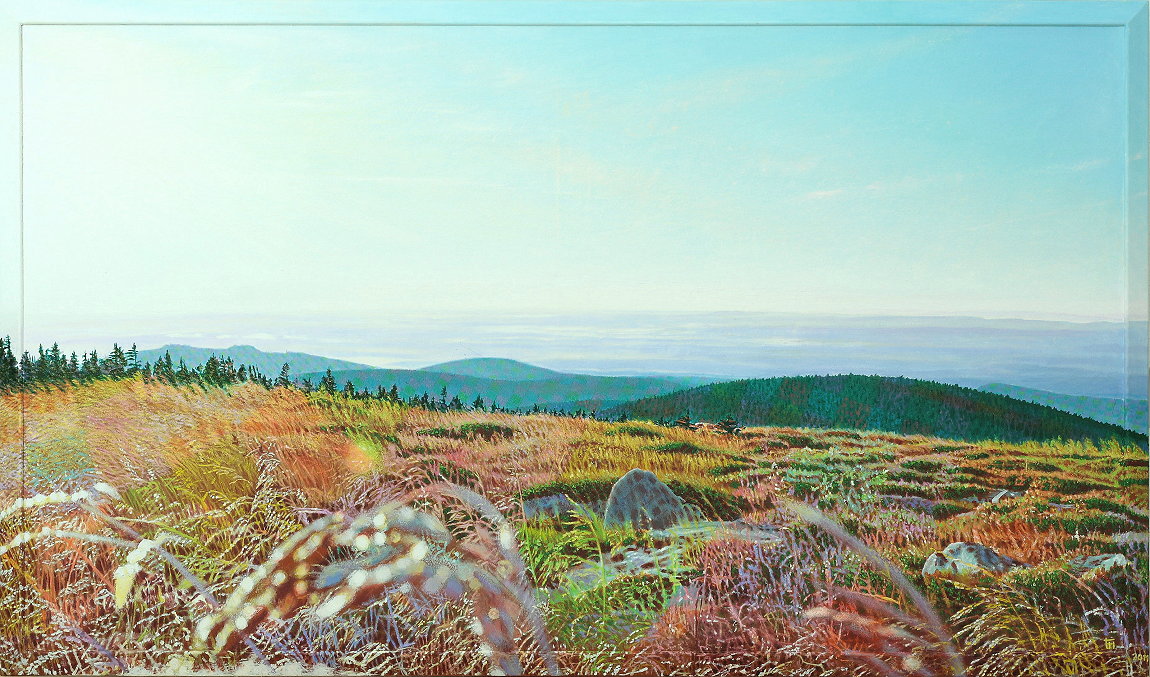 Fred Hahn: Brockenseptembermorgenweite2011, Oel auf Baumwolle und Holz, 87 x 147 cm