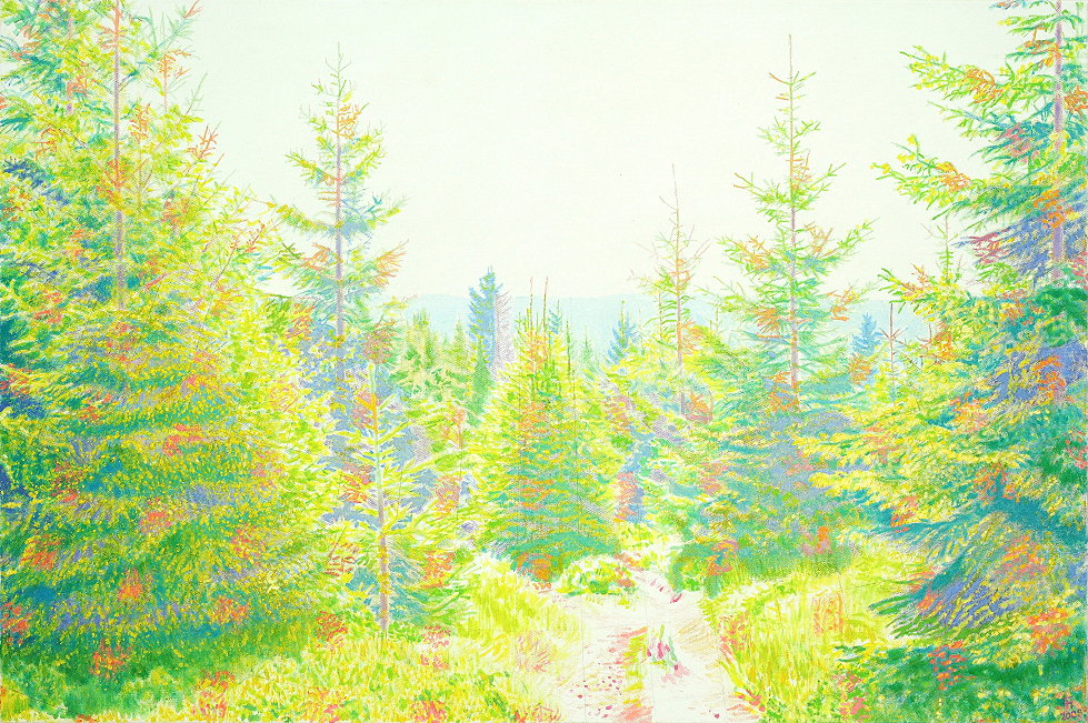 Fred Hahn: Fruehsommerurwald Oil auf Baumwolle, 2010, 80 x 120 cm