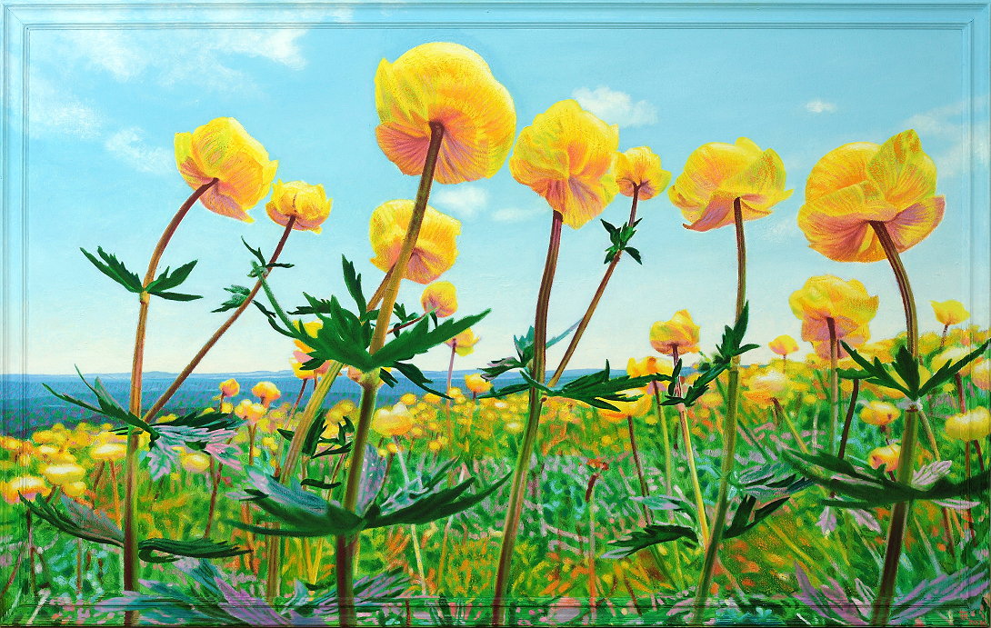 Fred Hahn: TrollblumenweiteOel auf Baumwolle + Holz (-Rahmen), 2016, 94 x 148 cm